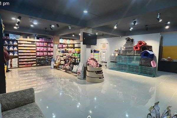Top 10 Best Pet Shops in Chandigarh