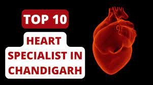 Top10 Best Homeopathic Medical Stores in Chandigarh