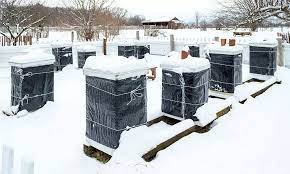 What is honey bee cozy winter hive wraps & Where can i buy ?