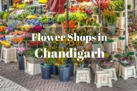 Top 10 Flower Shops in Chandigarh | Romantic Flower, Guldasta & Home Decor