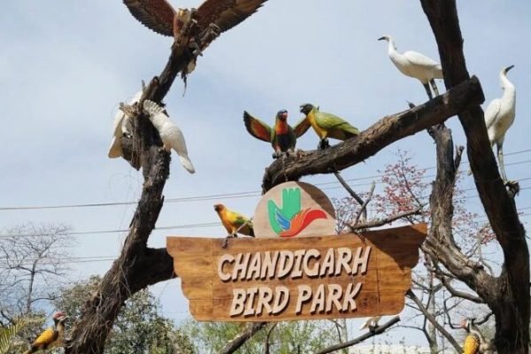 Bird Park Chandigarh | Best place To Visit In Chandigarh