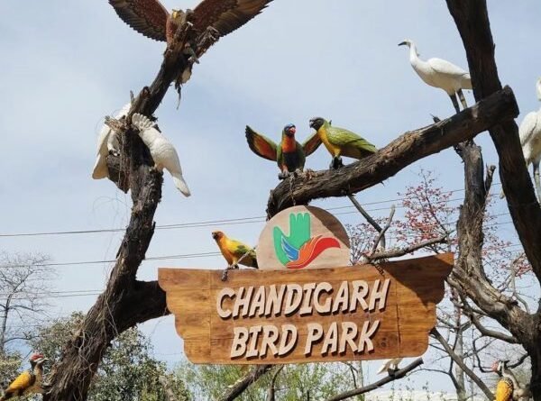 Bird Park Chandigarh | Best place To Visit In Chandigarh
