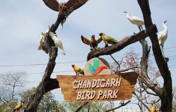 Bird Park Chandigarh | Best place To Visit In Chandigarh